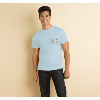 Gildan Heavy Cotton T-Shirt Coloured