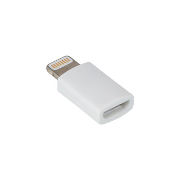 White USB Lightning Adapter