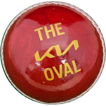 Practise Cricket Ball