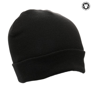 Thinsulate Beanie Hat