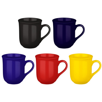 Coloured Wellington Mug 270ml