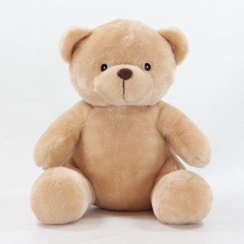 Theo Bear 25cm