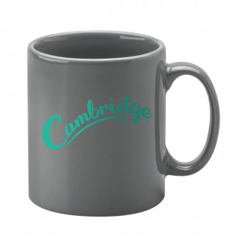 Cambridge Grey Mug 