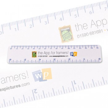 Plastic Ruler - Standard