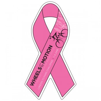 Awareness Ribbon Magnet