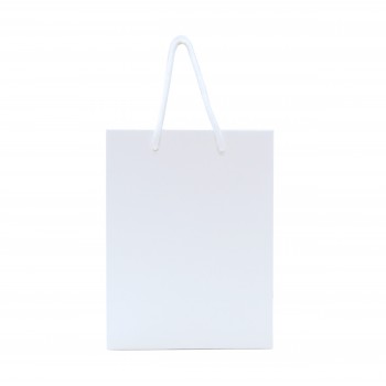 Walton A4 Gloss Laminated Paper Carrier Bag