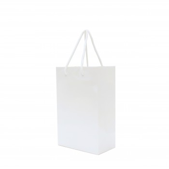 Walton A5 Gloss Laminated Paper Carrier Bag