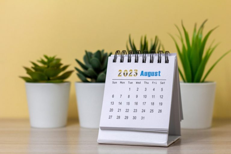 Top Reasons Why Your Business Should Use Promotional Calendars