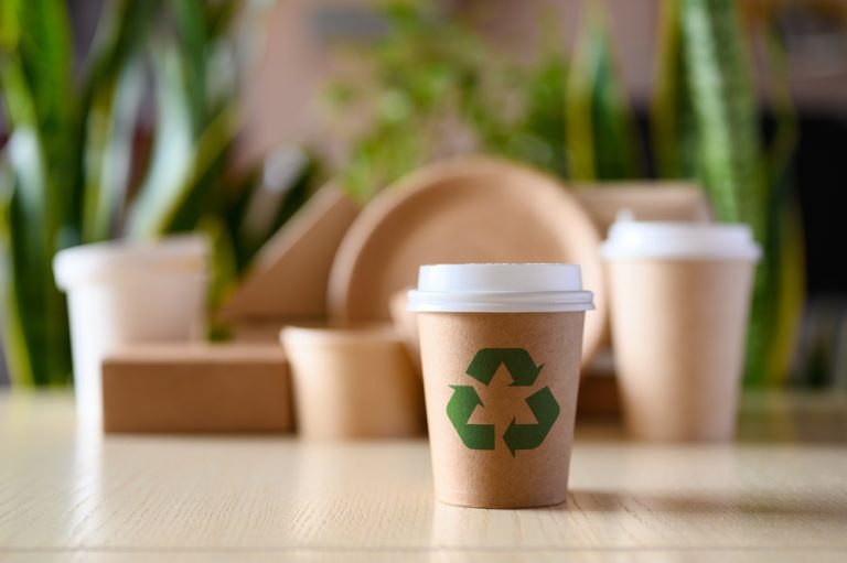 Best Choice Of Eco-Friendly Printed Products To Get In 2024