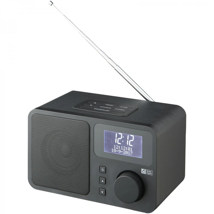 DAB deluxe radio with FM tuner