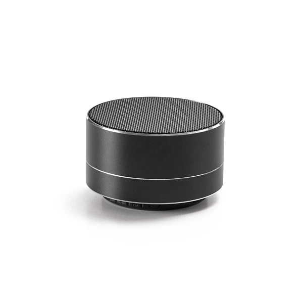 Aluminium Portable Speaker With Microphone