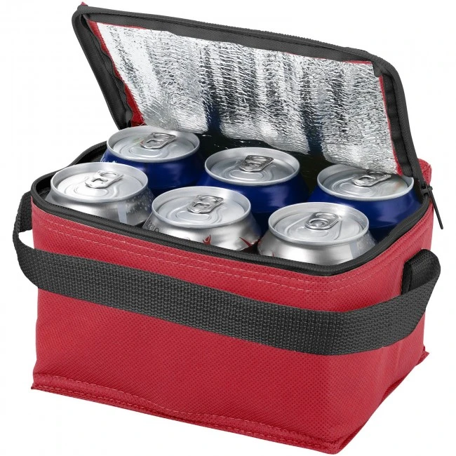 Spectrum non-woven 6-can cooler bag