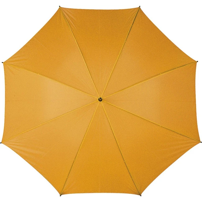 Sports umbrella