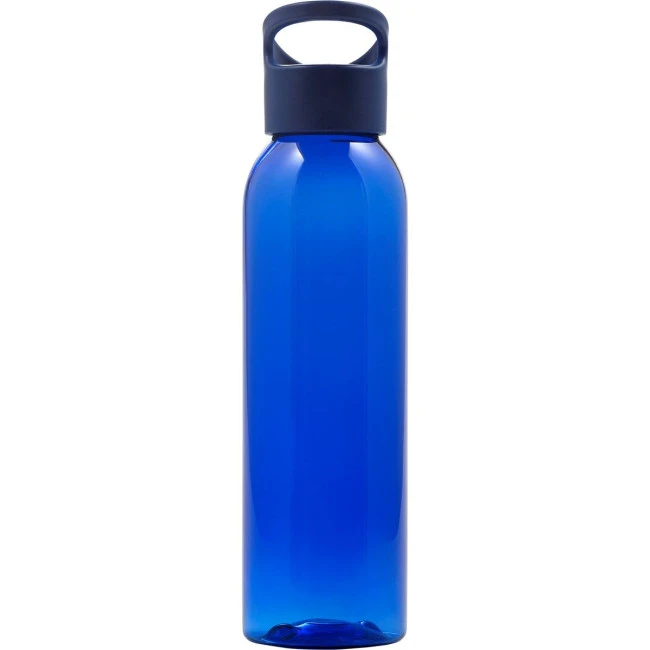 Water bottle (650ml)