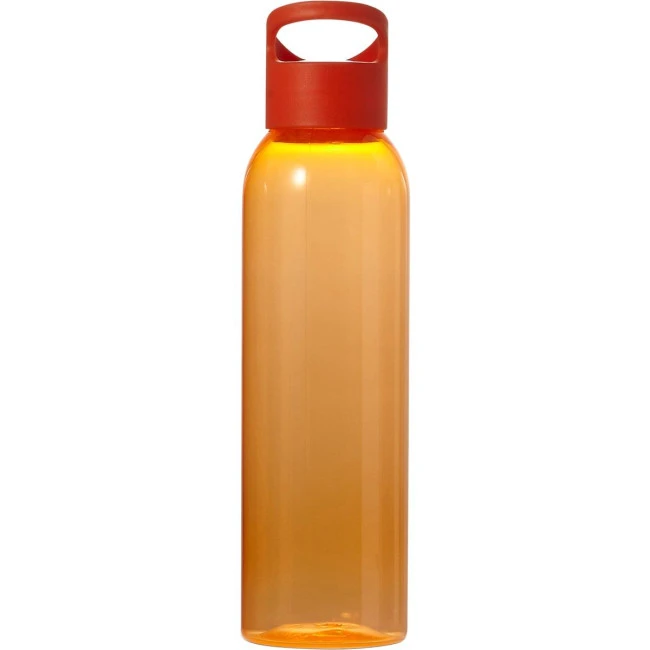 Water bottle (650ml)