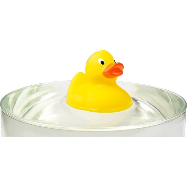 Rubber duck