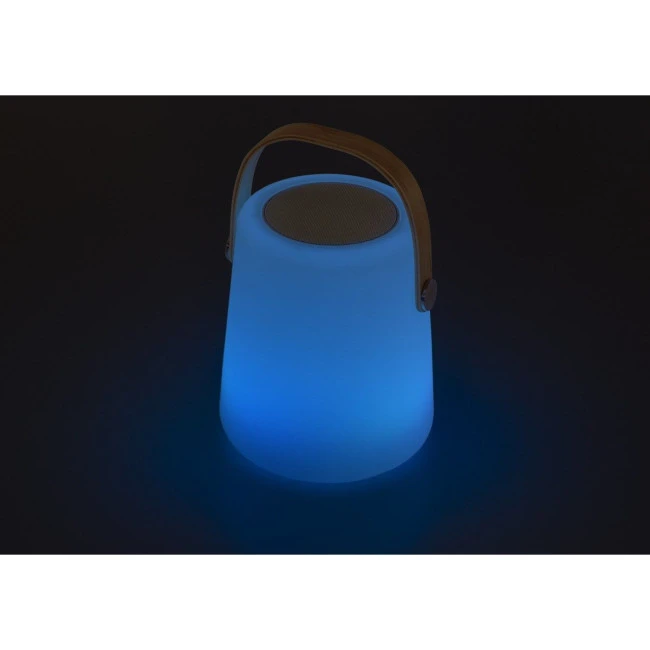 Plastic LED speaker