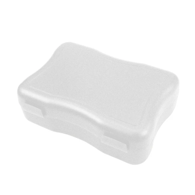 Lunch box "Wave", medium