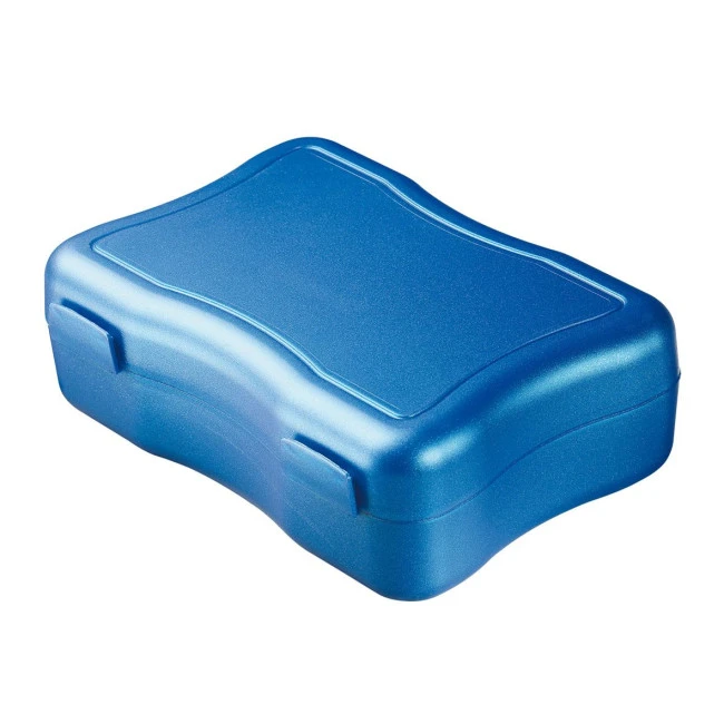 Lunch box "Wave", medium