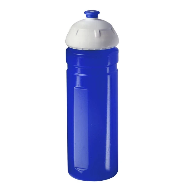 Water bottle "Champion" 0.7 l