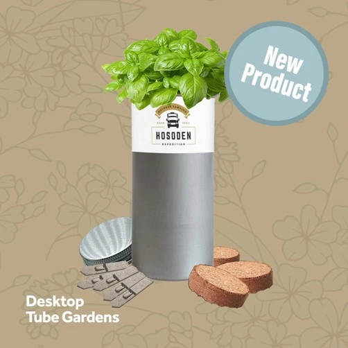 Promotional Desktop Tube Garden