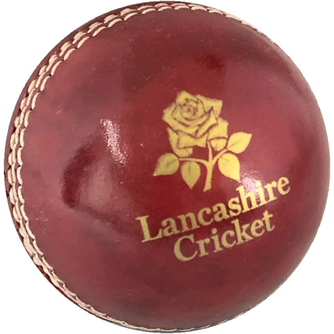 Practise Cricket Ball