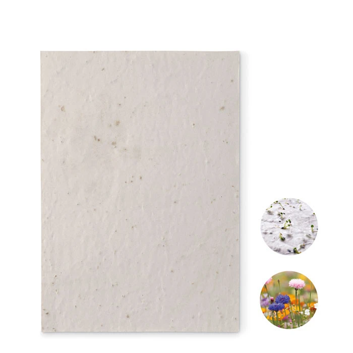 A5 Wildflower Seed Paper Sheet