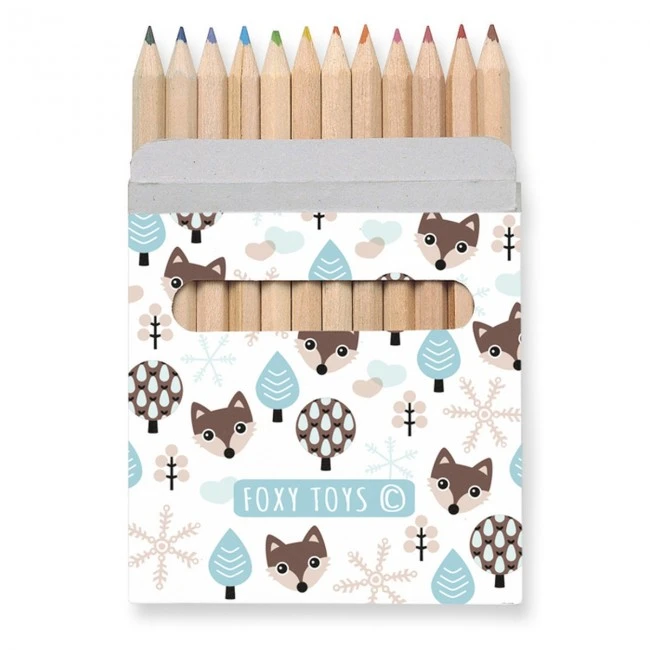 12 Coloured Pencils Set