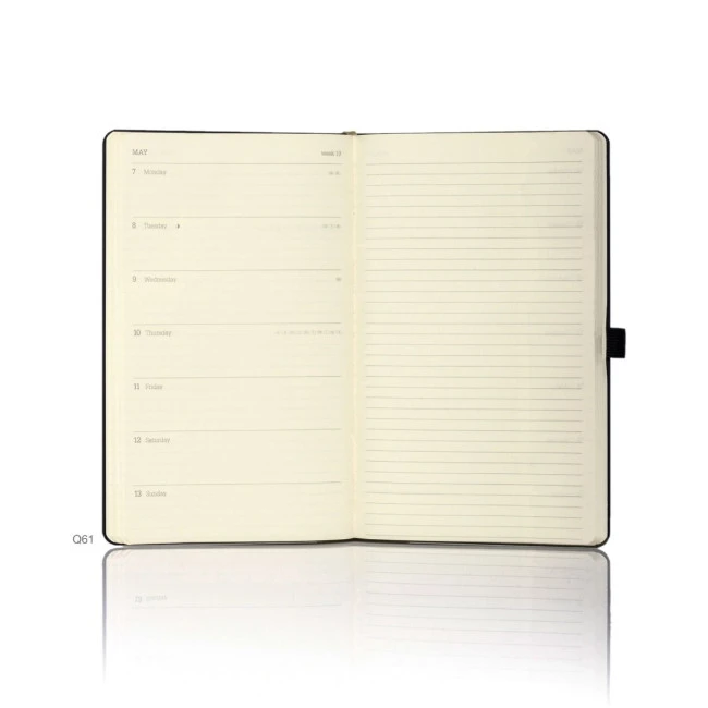 2025 Ivory Tucson Diary - Medium Size