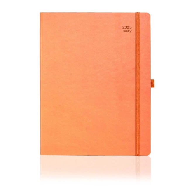 2025 Ivory Tucson Diary - Large Size