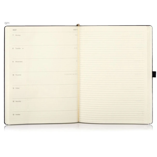 2025 Ivory Tucson Diary - Large Size