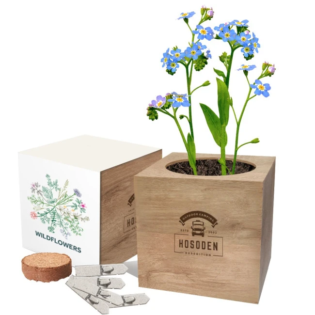 Express Desktop Cube Gardens