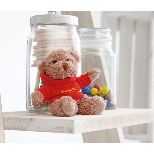 Teddy Bear Plush With Hoodie