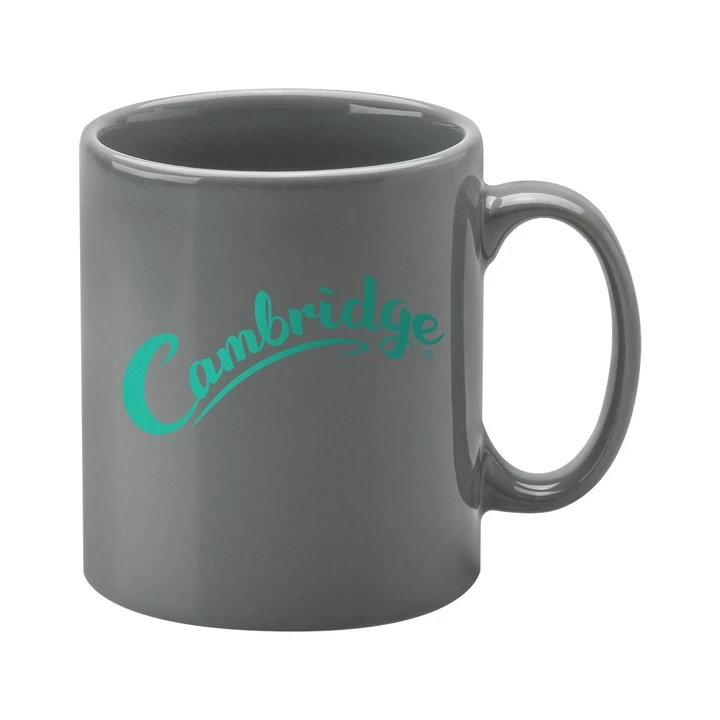 Cambridge Grey Mug