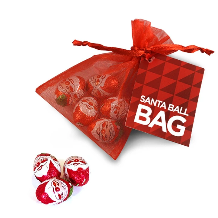 Santa Organza Bag