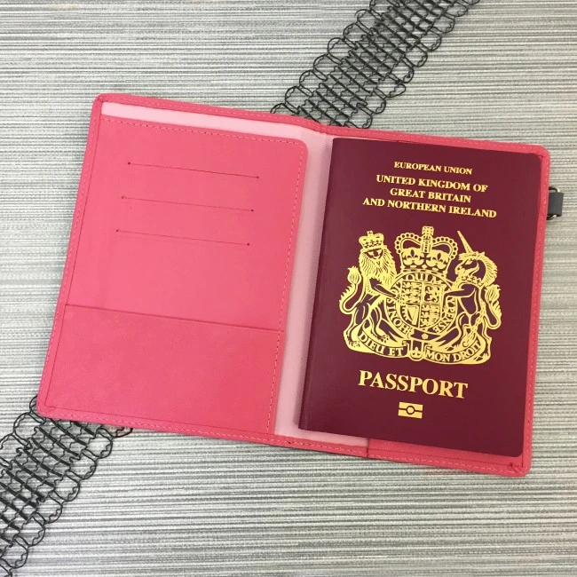 Passport Wallet 