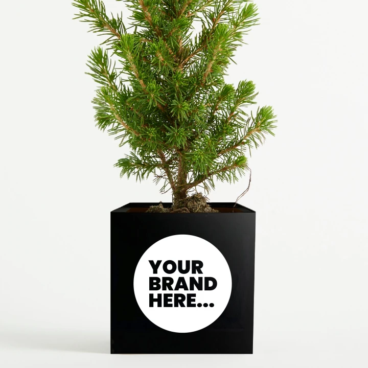 Christmas Tree in Black Aluminium Pot  