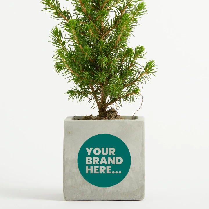 Christmas Tree in Marble Concrete Pot  