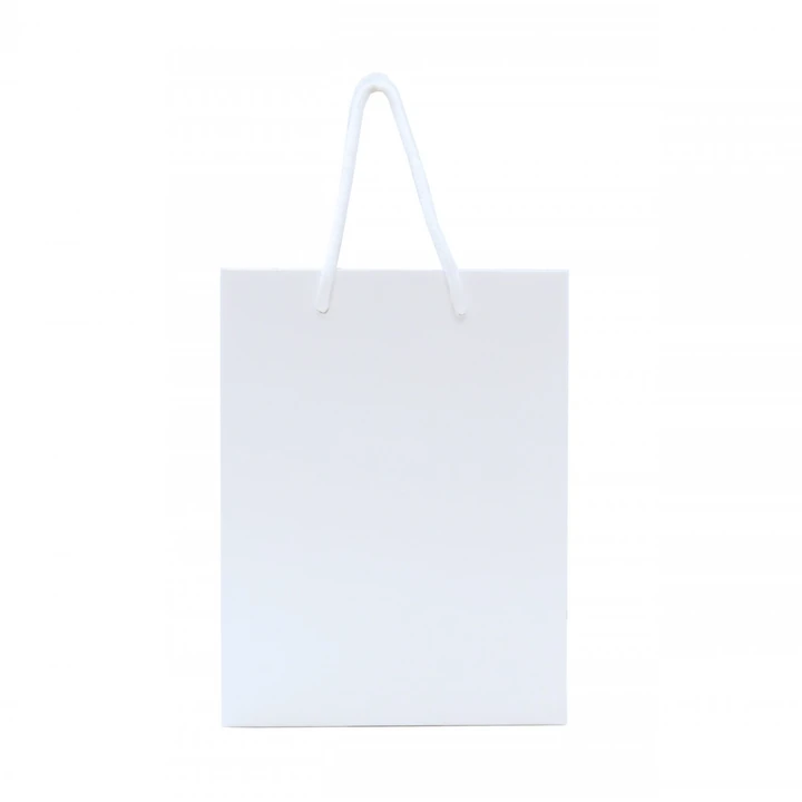 Walton A4 Gloss Laminated Paper Carrier Bag