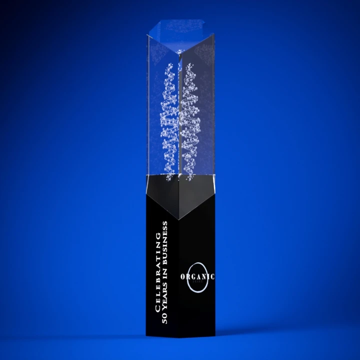 Magna Crystal Award