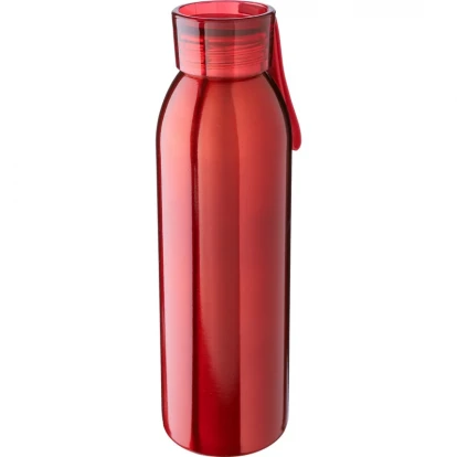 Stainless Steel Single-Walled Bottle 650ml