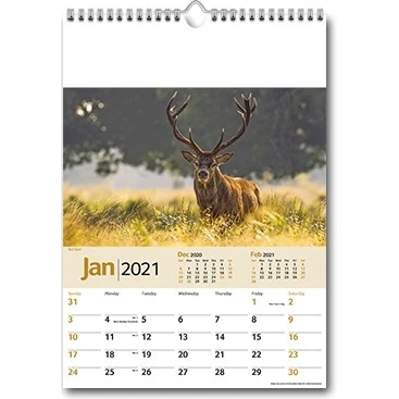 Wildlife Memo Wall Calendar