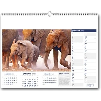 Kindred Spirits Wall Calendar