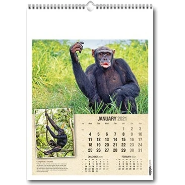 World Wildlife Wall Calendar