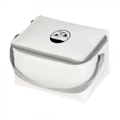 FreshCooler cooler bag