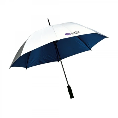 Silver Rain Umbrella