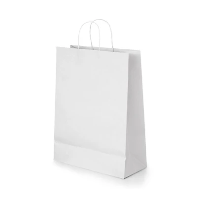 Citadel Paper Kraft Bag