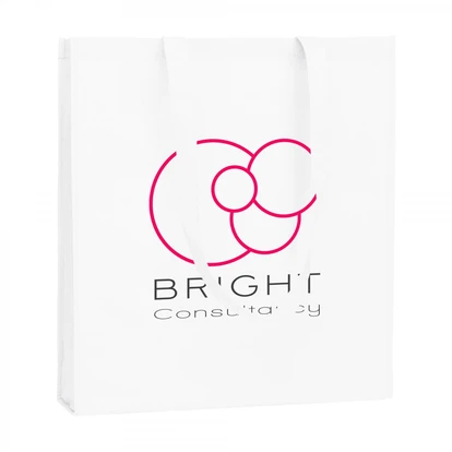 Pro-Shopper shopping bag