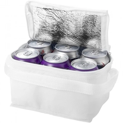 Spectrum non-woven 6-can cooler bag