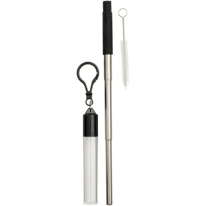 Zeya Reusable Stainless Steel Straw Keychain